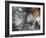 Lentejuelas-Ursula Abresch-Framed Photographic Print