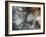 Lentejuelas-Ursula Abresch-Framed Photographic Print