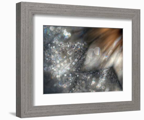 Lentejuelas-Ursula Abresch-Framed Photographic Print