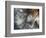 Lentejuelas-Ursula Abresch-Framed Photographic Print