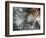 Lentejuelas-Ursula Abresch-Framed Photographic Print