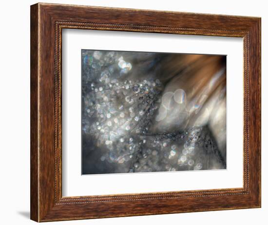 Lentejuelas-Ursula Abresch-Framed Photographic Print