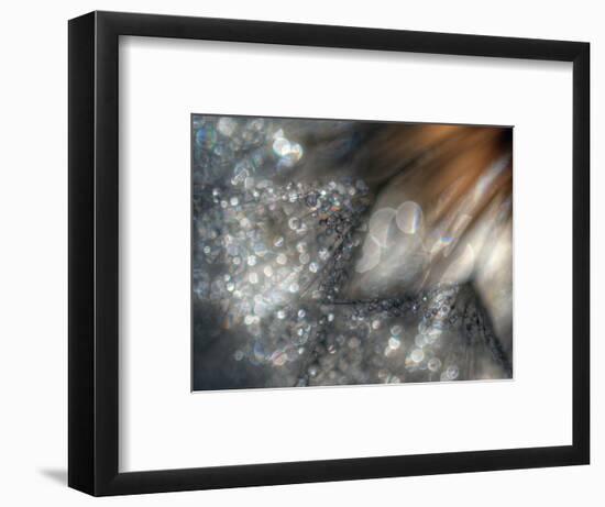 Lentejuelas-Ursula Abresch-Framed Photographic Print