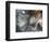 Lentejuelas-Ursula Abresch-Framed Photographic Print