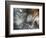 Lentejuelas-Ursula Abresch-Framed Photographic Print