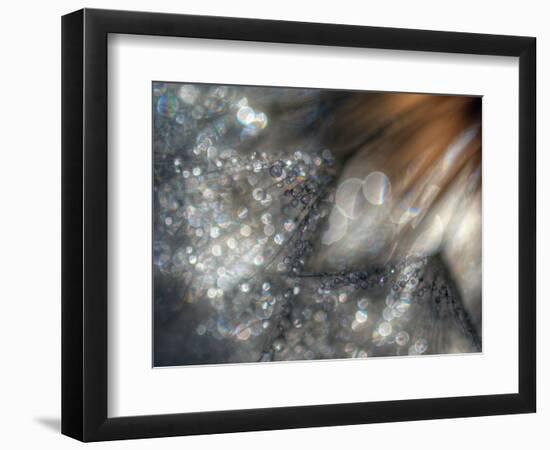 Lentejuelas-Ursula Abresch-Framed Photographic Print