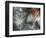 Lentejuelas-Ursula Abresch-Framed Photographic Print