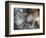 Lentejuelas-Ursula Abresch-Framed Photographic Print