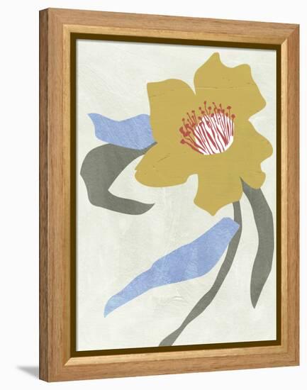 Lenten Rose II-Melissa Wang-Framed Stretched Canvas