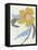 Lenten Rose II-Melissa Wang-Framed Stretched Canvas