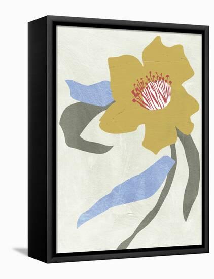 Lenten Rose II-Melissa Wang-Framed Stretched Canvas