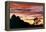 Lenticular Cloud, Joshua Tree NM, Sunset-David Nunuk-Framed Premier Image Canvas