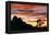 Lenticular Cloud, Joshua Tree NM, Sunset-David Nunuk-Framed Premier Image Canvas