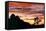Lenticular Cloud, Joshua Tree NM, Sunset-David Nunuk-Framed Premier Image Canvas