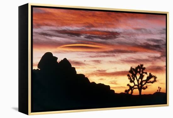 Lenticular Cloud, Joshua Tree NM, Sunset-David Nunuk-Framed Premier Image Canvas