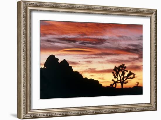 Lenticular Cloud, Joshua Tree NM, Sunset-David Nunuk-Framed Photographic Print