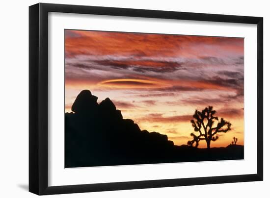 Lenticular Cloud, Joshua Tree NM, Sunset-David Nunuk-Framed Photographic Print
