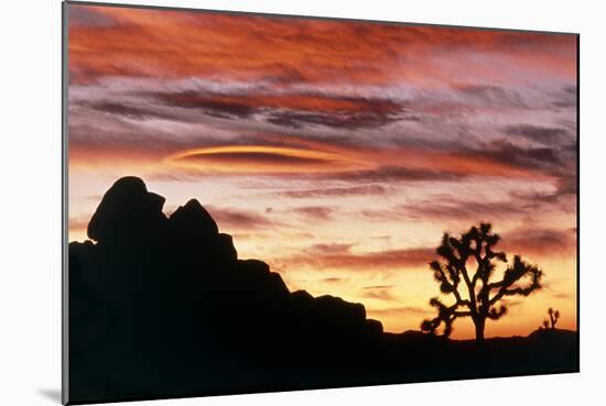 Lenticular Cloud, Joshua Tree NM, Sunset-David Nunuk-Mounted Photographic Print