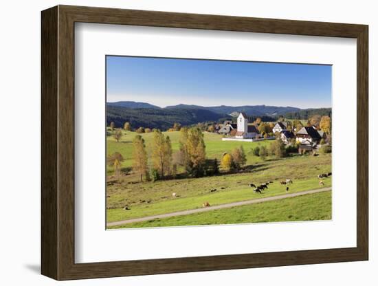 Lenzkirch-Saig, autumn, Black Forest, Baden-Wurttemberg, Germany-Markus Lange-Framed Photographic Print