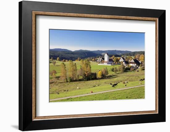 Lenzkirch-Saig, autumn, Black Forest, Baden-Wurttemberg, Germany-Markus Lange-Framed Photographic Print