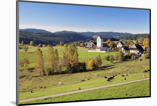 Lenzkirch-Saig, autumn, Black Forest, Baden-Wurttemberg, Germany-Markus Lange-Mounted Photographic Print