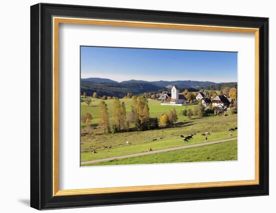 Lenzkirch-Saig, autumn, Black Forest, Baden-Wurttemberg, Germany-Markus Lange-Framed Photographic Print