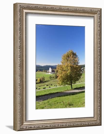 Lenzkirch-Saig, autumn, Black Forest, Baden-Wurttemberg, Germany-Markus Lange-Framed Photographic Print