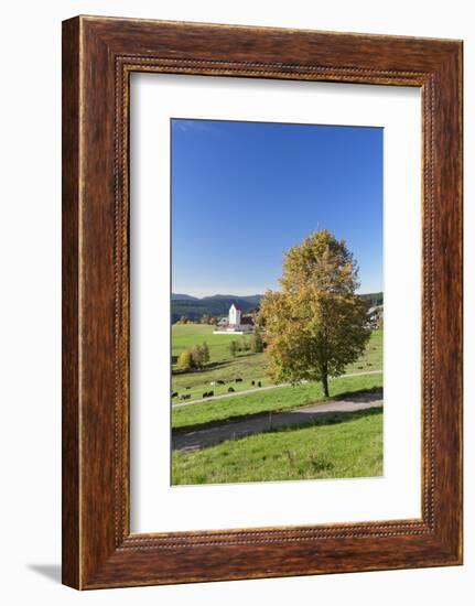 Lenzkirch-Saig, autumn, Black Forest, Baden-Wurttemberg, Germany-Markus Lange-Framed Photographic Print