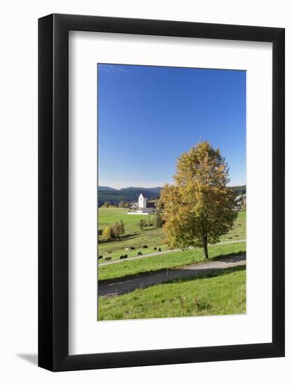 Lenzkirch-Saig, autumn, Black Forest, Baden-Wurttemberg, Germany-Markus Lange-Framed Photographic Print