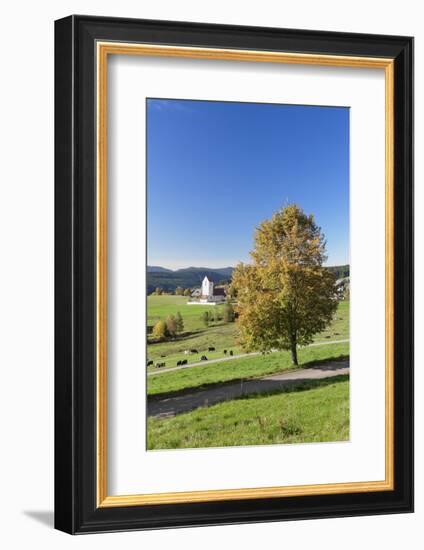 Lenzkirch-Saig, autumn, Black Forest, Baden-Wurttemberg, Germany-Markus Lange-Framed Photographic Print