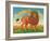 Leo, 1989-Frances Broomfield-Framed Giclee Print