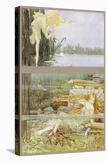Stretched Canvas Print, , large