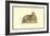 Leo Humana Capite-Ulisse Aldrovandi-Framed Art Print