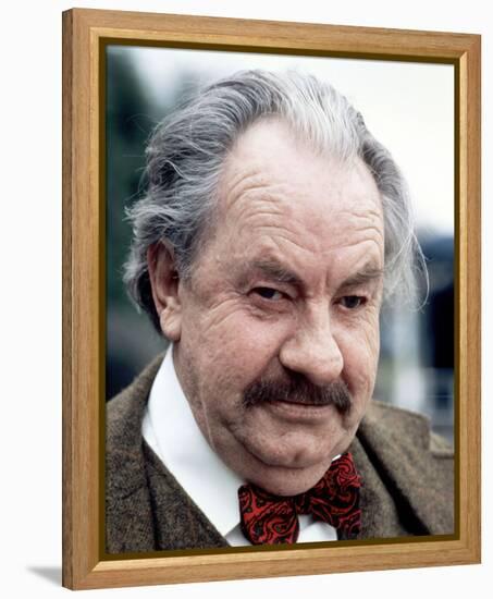 Leo McKern - Rumpole of the Bailey-null-Framed Stretched Canvas