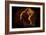 Leo Rougeoyant-Lord Amihere-Framed Giclee Print