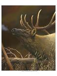 Deer Camp-Leo Stans-Art Print