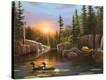 Stretched Canvas Print