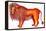 Leo the Lion, 1996-Jane Tattersfield-Framed Premier Image Canvas