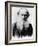 Leo Tolstoy, Russian Writer, Early 1900s-null-Framed Photo