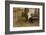 Leo Tolstoy the Russian Novelist About a Year Before His Death-null-Framed Photographic Print