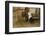 Leo Tolstoy the Russian Novelist About a Year Before His Death-null-Framed Photographic Print