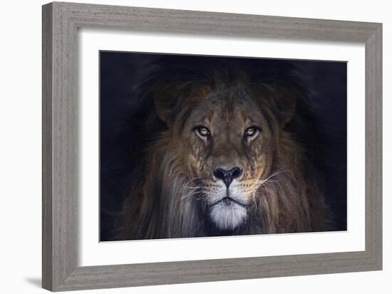 Leo-SD Smart-Framed Giclee Print