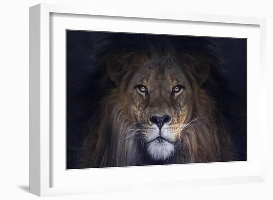 Leo-SD Smart-Framed Giclee Print