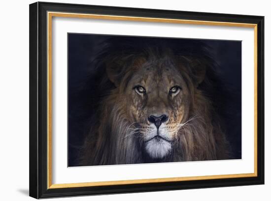 Leo-SD Smart-Framed Giclee Print