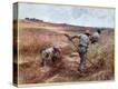 Stretched Canvas Print