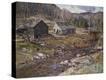 Stretched Canvas Print
