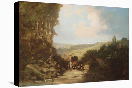 Stretched Canvas Print, , large
