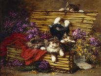 Kittens at Play-Léon Charles Huber-Giclee Print