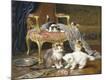 Premium Giclee Print