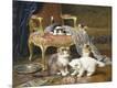 Giclee Print
